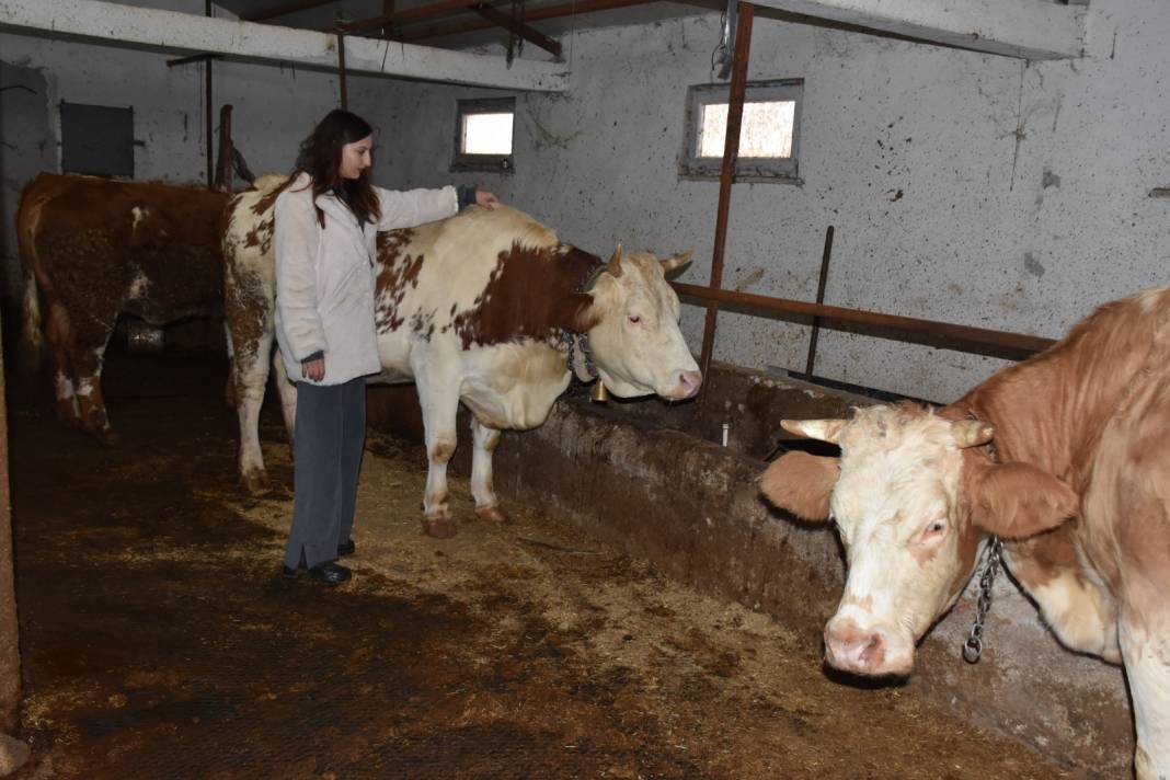 Haklarında tez yazdı. Dayanamadı işin başına geçti 4